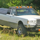 Illustration for article titled Lincoln monster truck-amino-limo wants to haul your assets